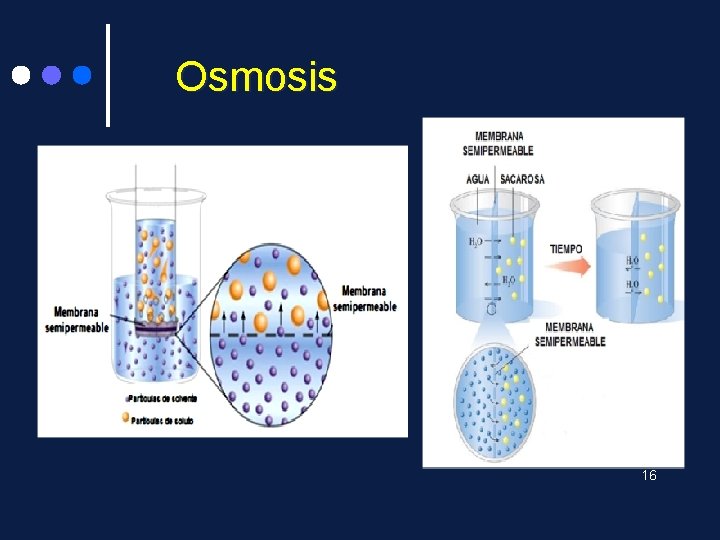 Osmosis 16 