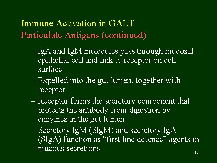  Immune Activation in GALT Particulate Antigens (continued) – Ig. A and Ig. M