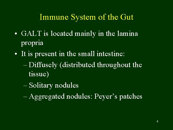 Immune System of the Gut • GALT is located mainly in the lamina propria