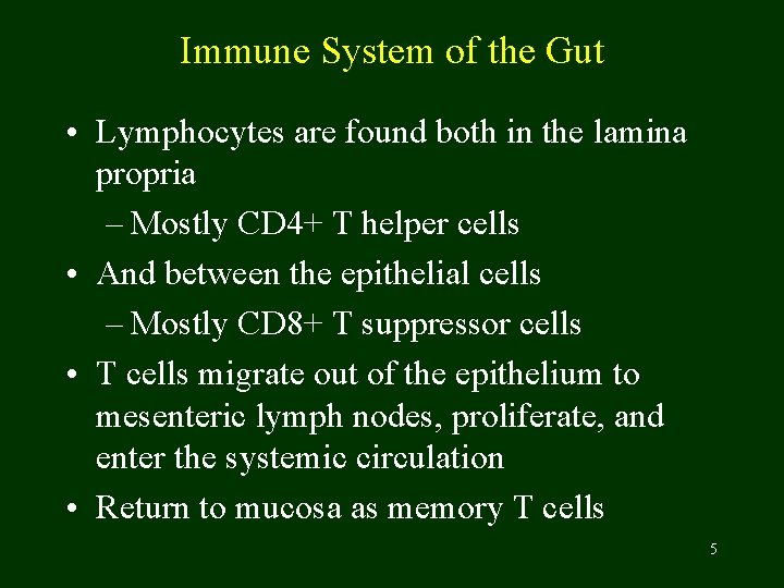 Immune System of the Gut • Lymphocytes are found both in the lamina propria