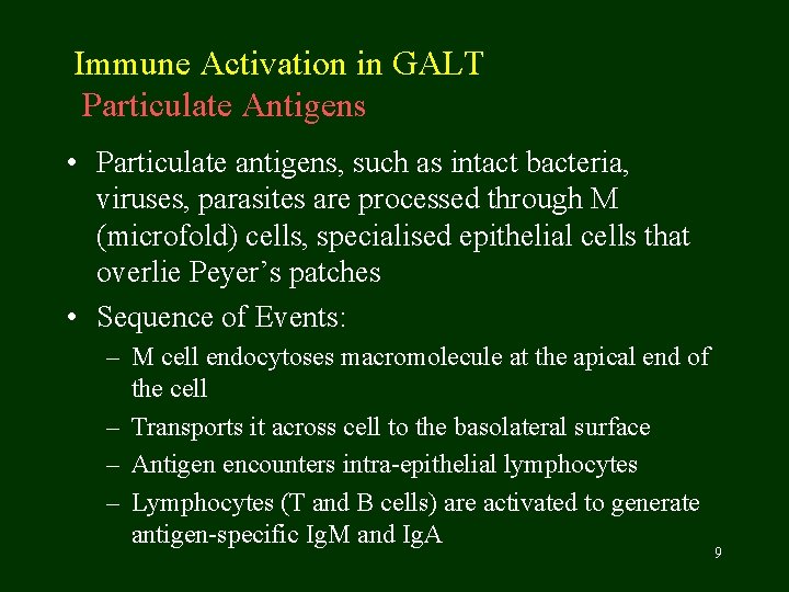 Immune Activation in GALT Particulate Antigens • Particulate antigens, such as intact bacteria, viruses,