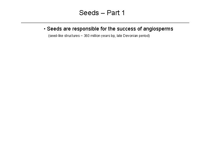 Seeds – Part 1 • Seeds are responsible for the success of angiosperms (seed-like