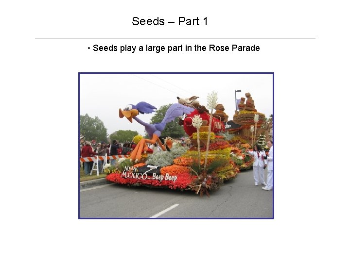 Seeds – Part 1 • Seeds play a large part in the Rose Parade