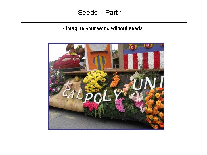 Seeds – Part 1 • Imagine your world without seeds 