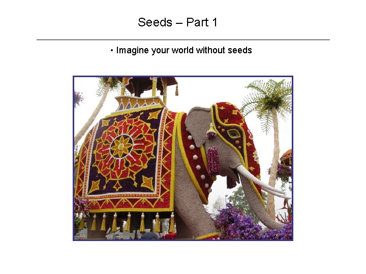 Seeds – Part 1 • Imagine your world without seeds 
