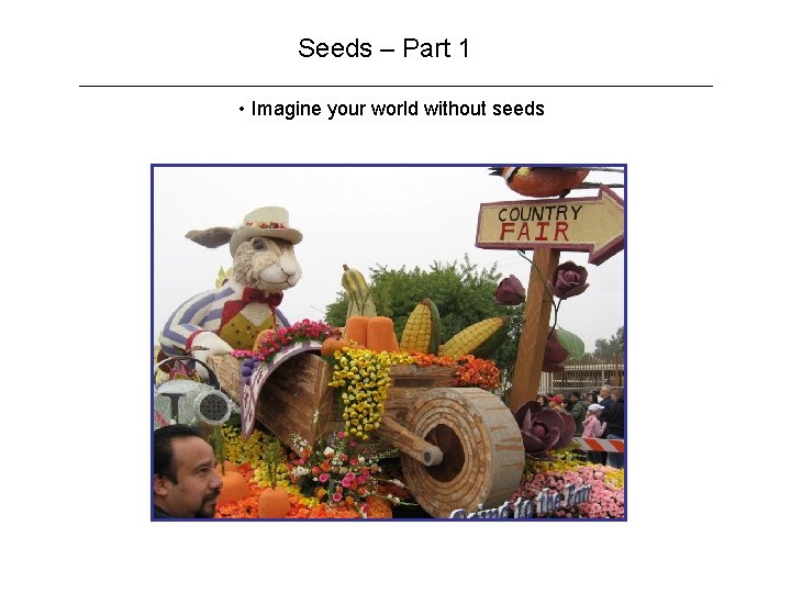 Seeds – Part 1 • Imagine your world without seeds 
