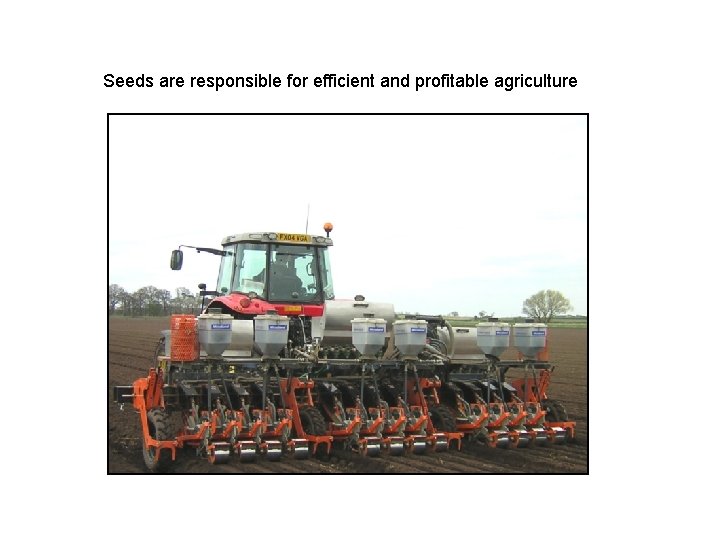 Seeds are responsible for efficient and profitable agriculture 