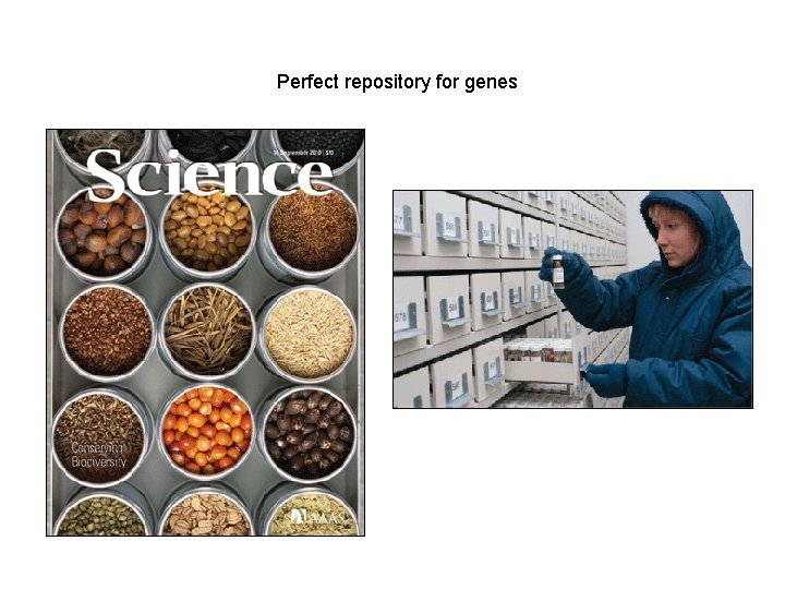 Perfect repository for genes 