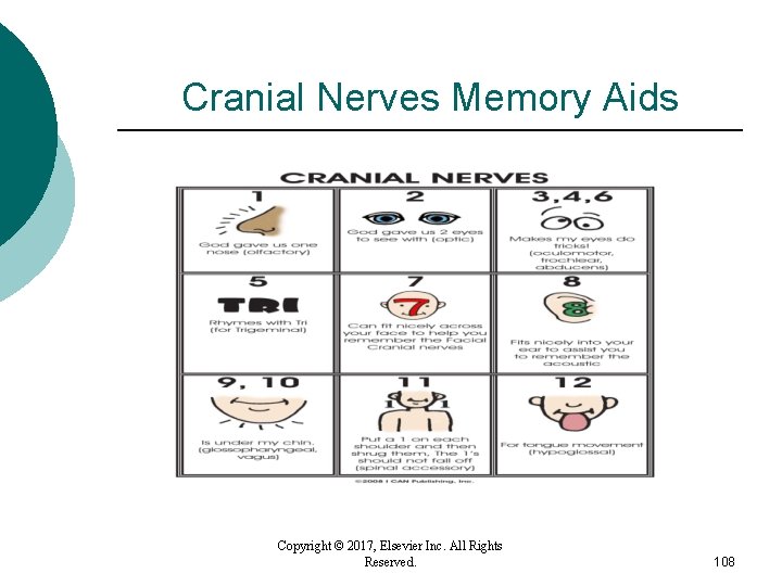 Cranial Nerves Memory Aids Copyright © 2017, Elsevier Inc. All Rights Reserved. 108 Cranial Nerves Memory Aids Copyright © 2017, Elsevier Inc. All Rights Reserved. 108