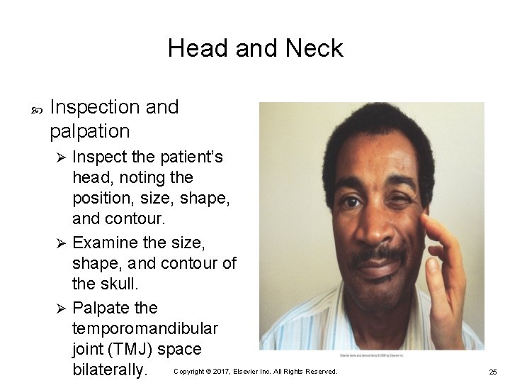 Head and Neck Inspection and palpation Inspect the patient’s head, noting the position, size, Head and Neck Inspection and palpation Inspect the patient’s head, noting the position, size,