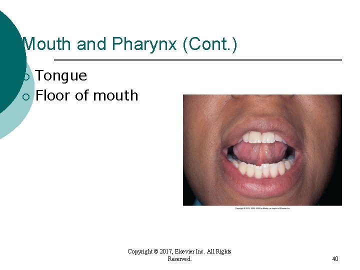 Mouth and Pharynx (Cont. ) ¡ ¡ Tongue Floor of mouth Copyright © 2017, Mouth and Pharynx (Cont. ) ¡ ¡ Tongue Floor of mouth Copyright © 2017,