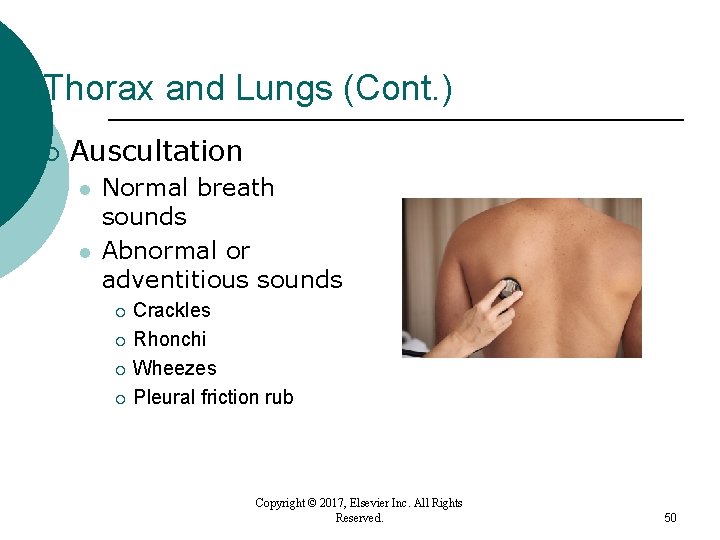 Thorax and Lungs (Cont. ) ¡ Auscultation l l Normal breath sounds Abnormal or Thorax and Lungs (Cont. ) ¡ Auscultation l l Normal breath sounds Abnormal or