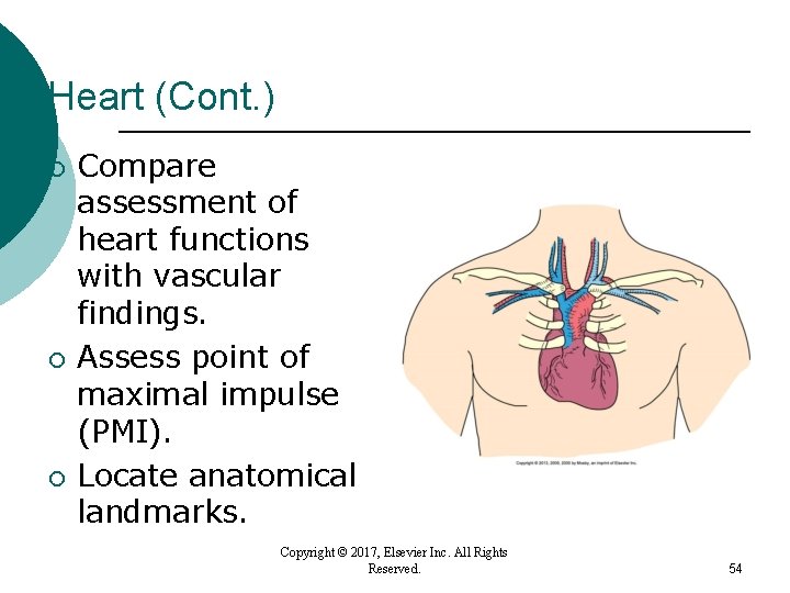 Heart (Cont. ) ¡ ¡ ¡ Compare assessment of heart functions with vascular findings. Heart (Cont. ) ¡ ¡ ¡ Compare assessment of heart functions with vascular findings.
