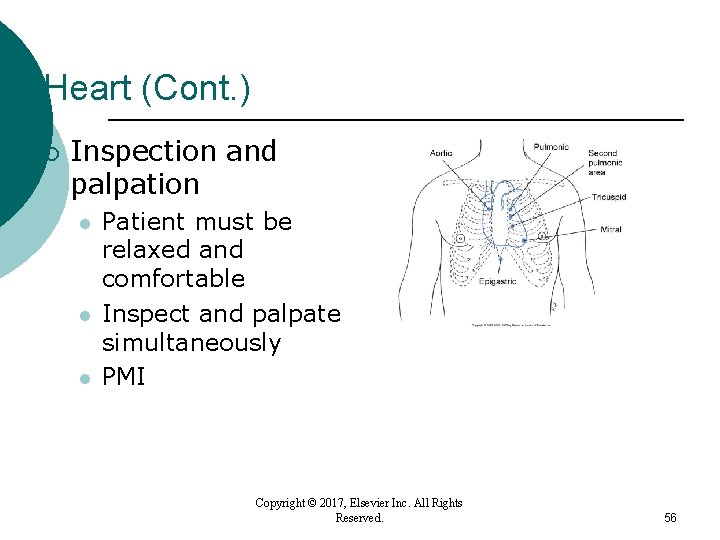 Heart (Cont. ) ¡ Inspection and palpation l l l Patient must be relaxed Heart (Cont. ) ¡ Inspection and palpation l l l Patient must be relaxed
