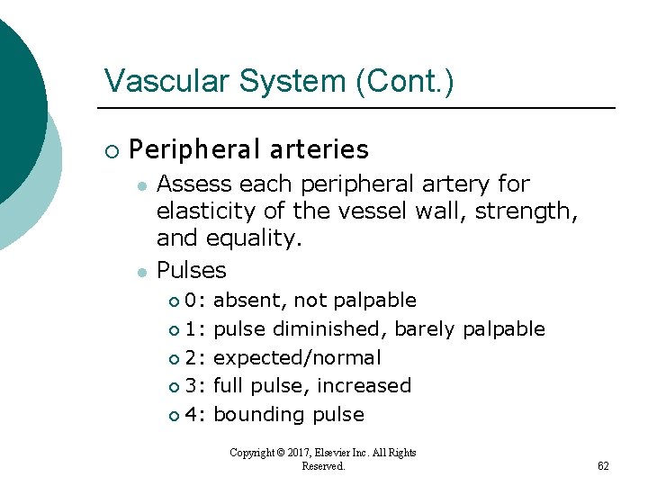 Vascular System (Cont. ) ¡ Peripheral arteries l l Assess each peripheral artery for Vascular System (Cont. ) ¡ Peripheral arteries l l Assess each peripheral artery for