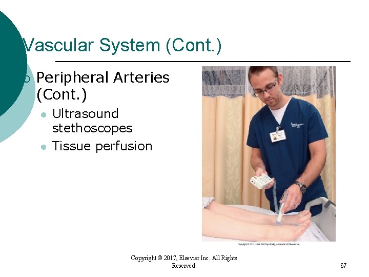 Vascular System (Cont. ) ¡ Peripheral Arteries (Cont. ) l l Ultrasound stethoscopes Tissue Vascular System (Cont. ) ¡ Peripheral Arteries (Cont. ) l l Ultrasound stethoscopes Tissue