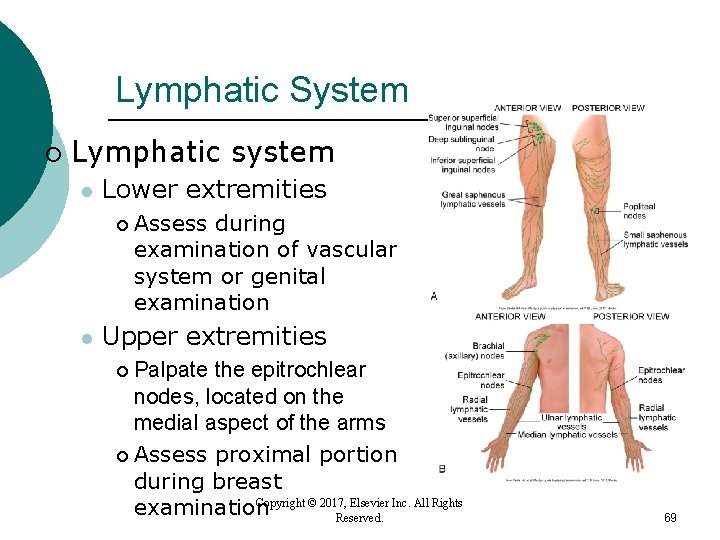 Lymphatic System ¡ Lymphatic system l Lower extremities ¡ l Assess during examination of Lymphatic System ¡ Lymphatic system l Lower extremities ¡ l Assess during examination of