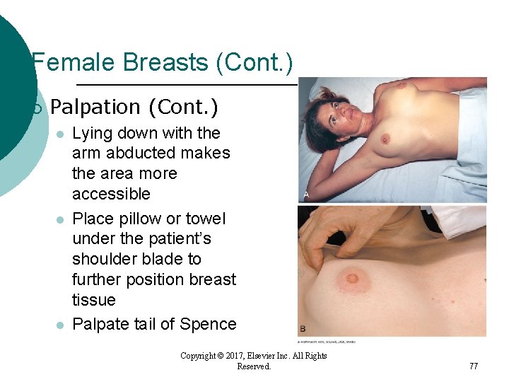 Female Breasts (Cont. ) ¡ Palpation (Cont. ) l l l Lying down with Female Breasts (Cont. ) ¡ Palpation (Cont. ) l l l Lying down with