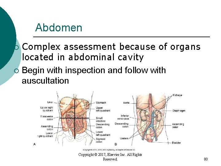 Abdomen Complex assessment because of organs located in abdominal cavity ¡ Begin with inspection Abdomen Complex assessment because of organs located in abdominal cavity ¡ Begin with inspection