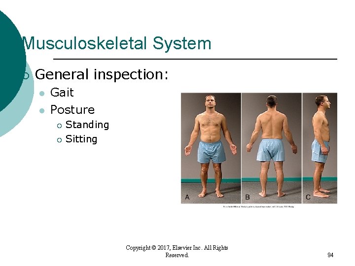 Musculoskeletal System ¡ General inspection: l l Gait Posture Standing ¡ Sitting ¡ Copyright Musculoskeletal System ¡ General inspection: l l Gait Posture Standing ¡ Sitting ¡ Copyright