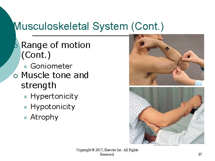 Musculoskeletal System (Cont. ) ¡ Range of motion (Cont. ) l ¡ Goniometer Muscle Musculoskeletal System (Cont. ) ¡ Range of motion (Cont. ) l ¡ Goniometer Muscle