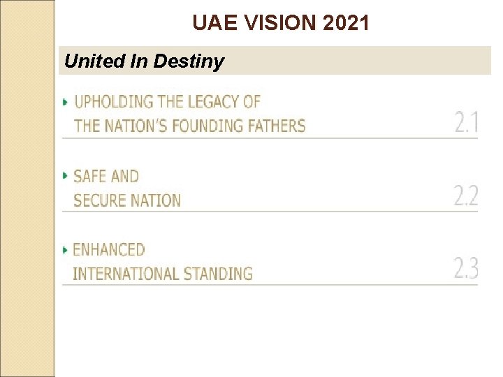 UAE VISION 2021 United In Destiny 