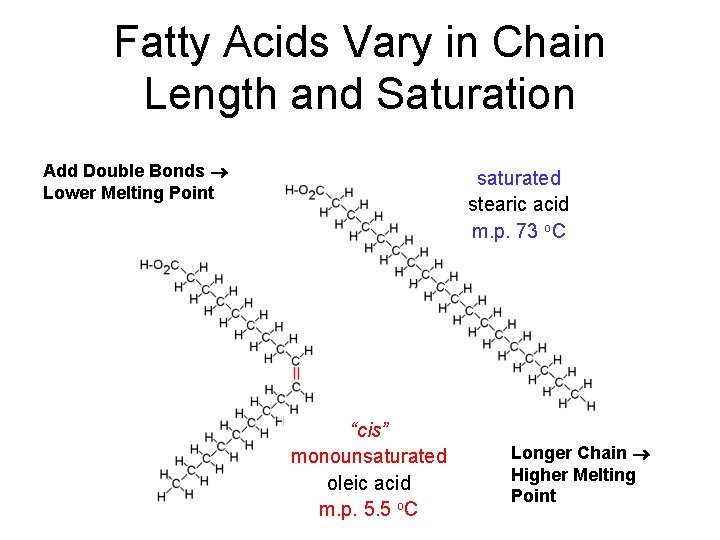 Fatty Acids Vary in Chain Length and Saturation Add Double Bonds Lower Melting Point