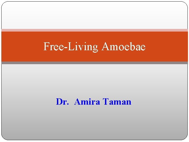 Free-Living Amoebae Dr. Amira Taman 