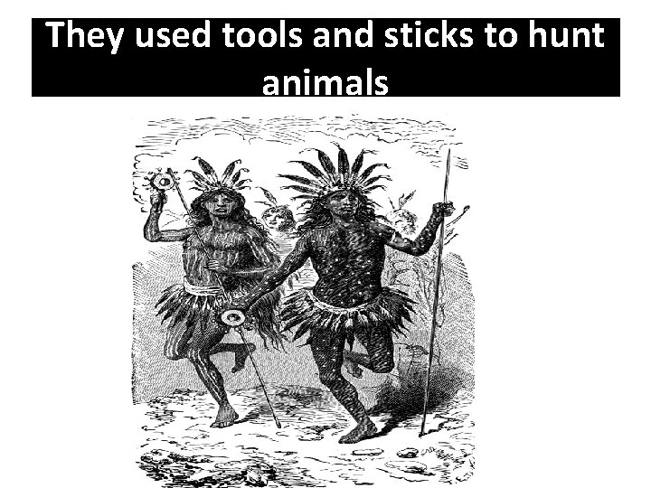 They used tools and sticks to hunt animals 