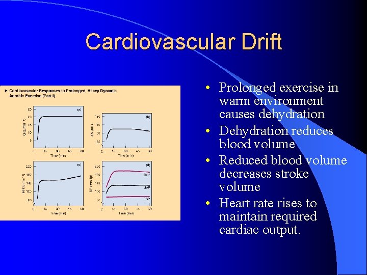 Cardiovascular Drift • Prolonged exercise in warm environment causes dehydration • Dehydration reduces blood
