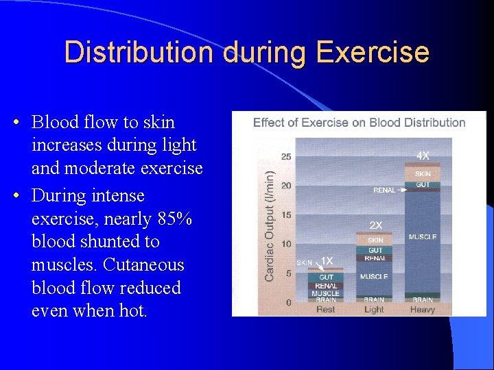 Distribution during Exercise • Blood flow to skin increases during light and moderate exercise