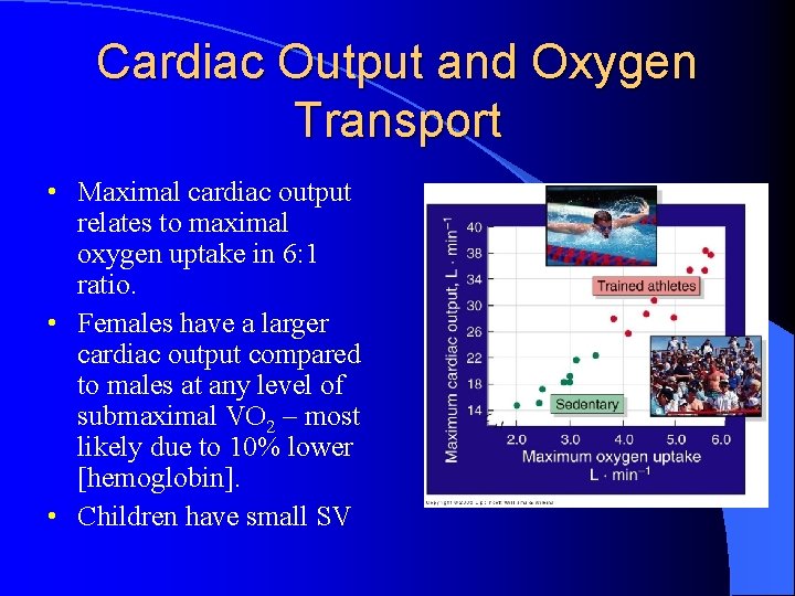 Cardiac Output and Oxygen Transport • Maximal cardiac output relates to maximal oxygen uptake