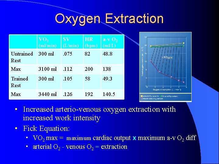 Oxygen Extraction VO 2 SV HR a-v O 2 (ml/min) (L/min) (bpm) Untrained Rest