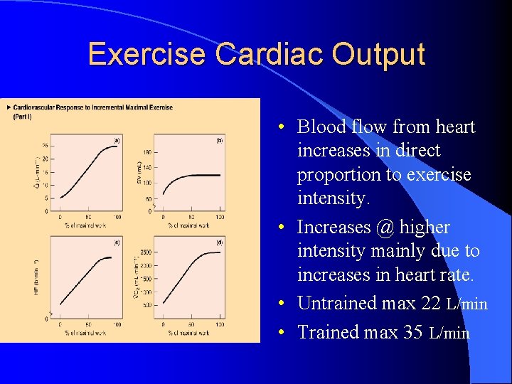 Exercise Cardiac Output • Blood flow from heart increases in direct proportion to exercise