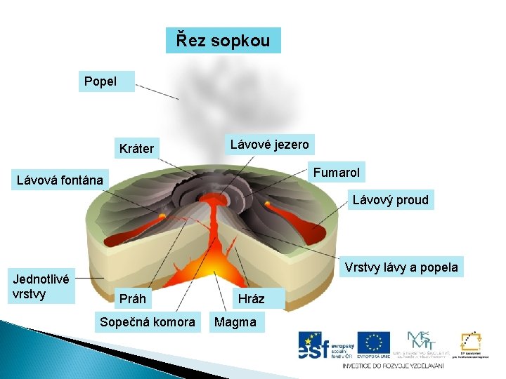 Řez sopkou Popel Kráter Lávové jezero Fumarol Lávová fontána Lávový proud Jednotlivé vrstvy Vrstvy
