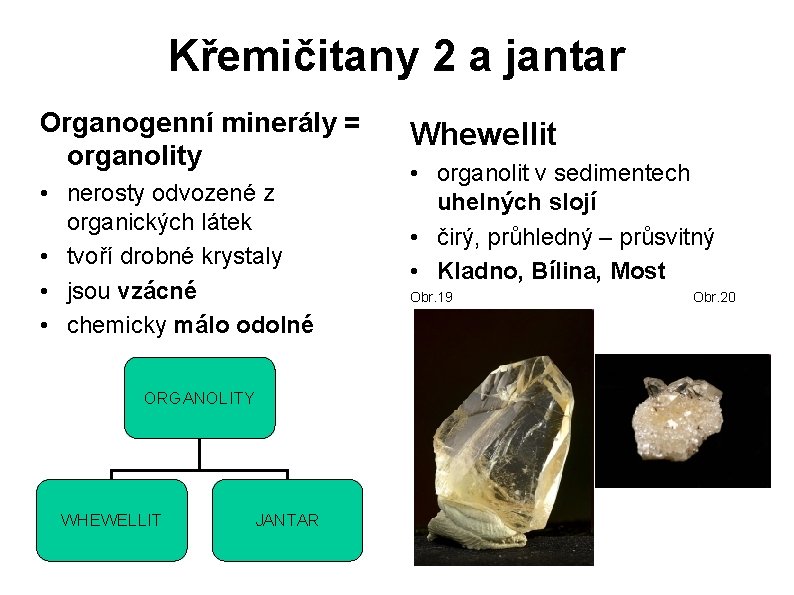 Křemičitany 2 a jantar Organogenní minerály = organolity • nerosty odvozené z organických látek