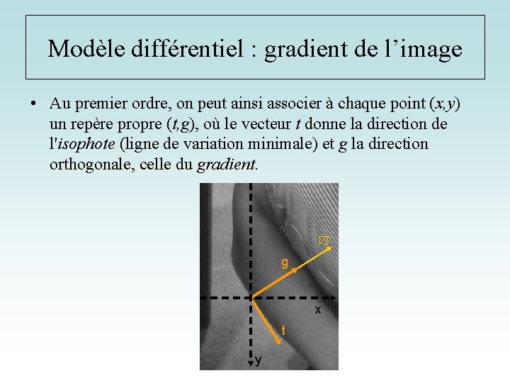 Modèle différentiel : gradient de l’image • Au premier ordre, on peut ainsi associer