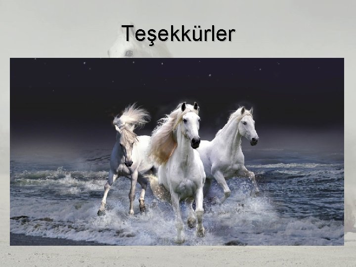 Teşekkürler Teşekkürler