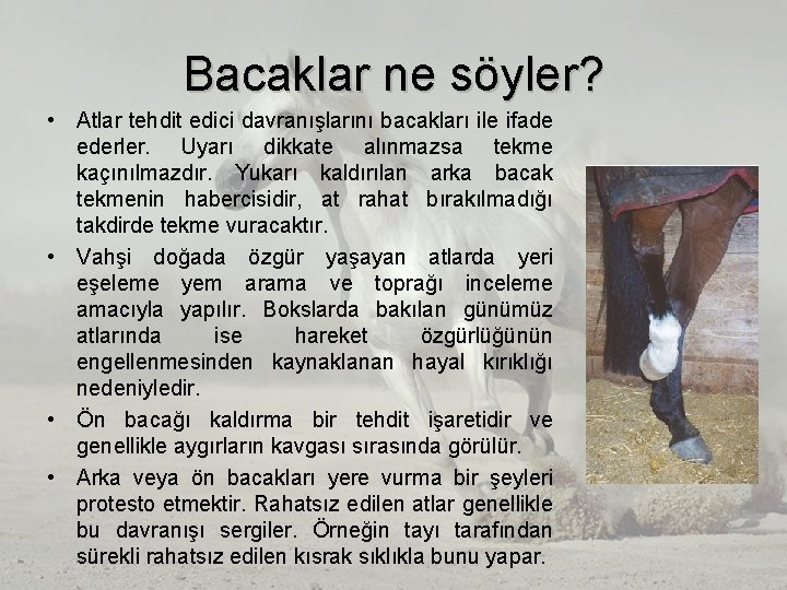 Bacaklar ne söyler? • Atlar tehdit edici davranışlarını bacakları ile ifade ederler. Uyarı dikkate Bacaklar ne söyler? • Atlar tehdit edici davranışlarını bacakları ile ifade ederler. Uyarı dikkate