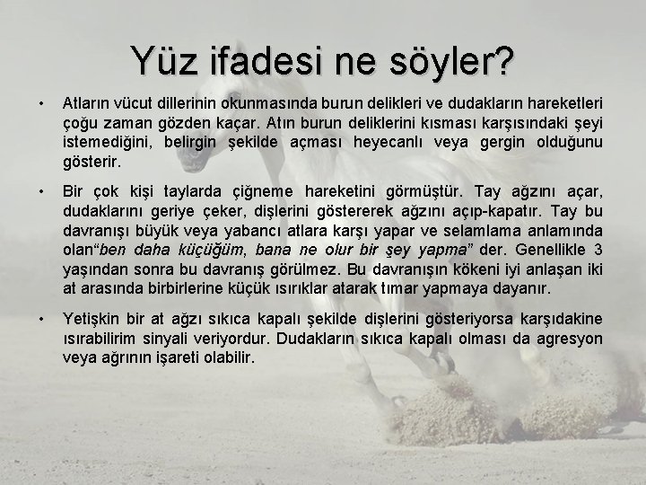 Yüz ifadesi ne söyler? • Atların vücut dillerinin okunmasında burun delikleri ve dudakların hareketleri Yüz ifadesi ne söyler? • Atların vücut dillerinin okunmasında burun delikleri ve dudakların hareketleri