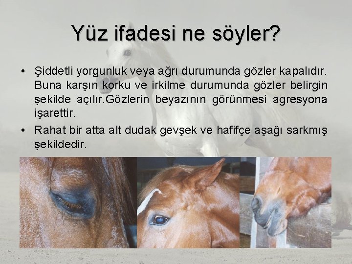 Yüz ifadesi ne söyler? • Şiddetli yorgunluk veya ağrı durumunda gözler kapalıdır. Buna karşın Yüz ifadesi ne söyler? • Şiddetli yorgunluk veya ağrı durumunda gözler kapalıdır. Buna karşın