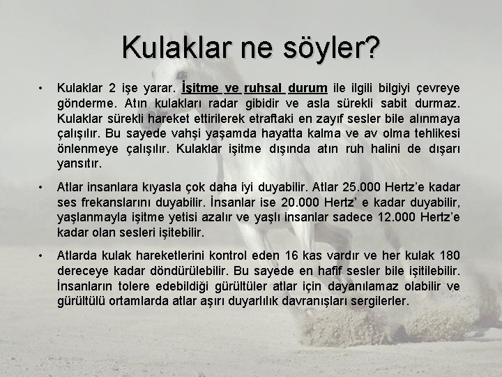Kulaklar ne söyler? • Kulaklar 2 işe yarar. İşitme ve ruhsal durum ile ilgili Kulaklar ne söyler? • Kulaklar 2 işe yarar. İşitme ve ruhsal durum ile ilgili
