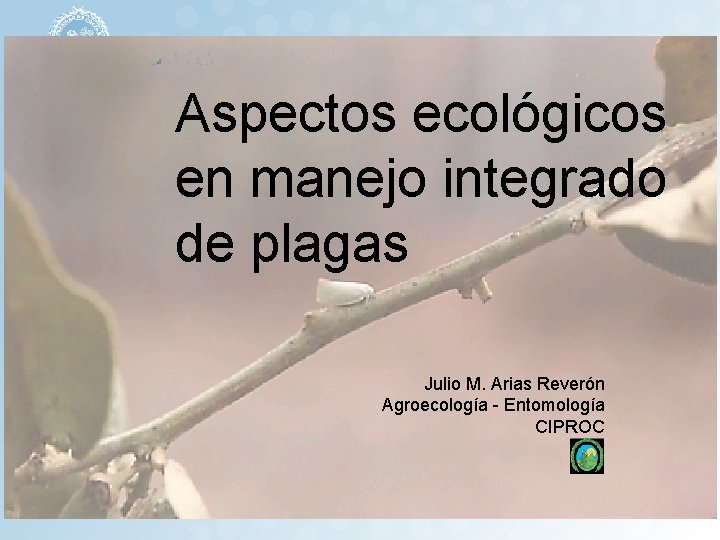 Aspectos ecológicos en manejo integrado de plagas Julio M. Arias Reverón Agroecología - Entomología