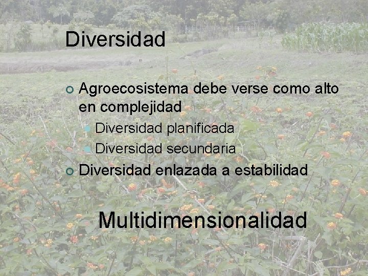 Diversidad ¢ Agroecosistema debe verse como alto en complejidad Diversidad planificada l Diversidad secundaria