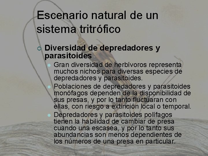 Escenario natural de un sistema tritrófico ¢ Diversidad de depredadores y parasitoides l l