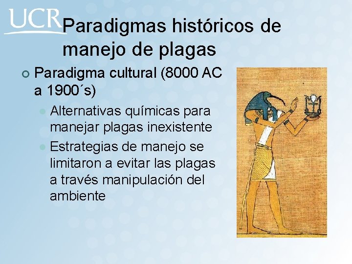 Paradigmas históricos de manejo de plagas ¢ Paradigma cultural (8000 AC a 1900´s) Alternativas