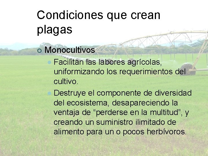 Condiciones que crean plagas ¢ Monocultivos Facilitan las labores agrícolas, uniformizando los requerimientos del