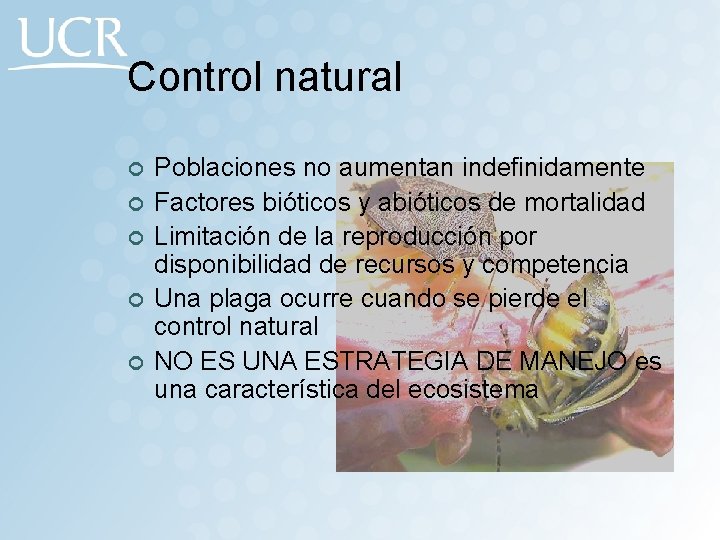 Control natural ¢ ¢ ¢ Poblaciones no aumentan indefinidamente Factores bióticos y abióticos de