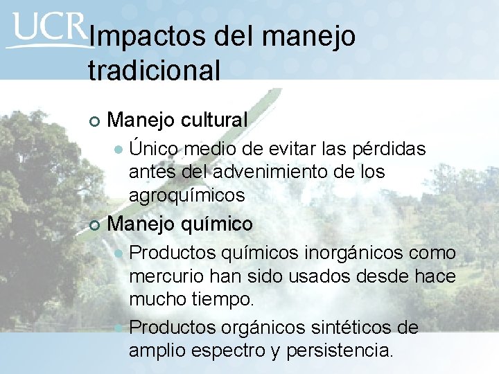Impactos del manejo tradicional ¢ Manejo cultural l ¢ Único medio de evitar las
