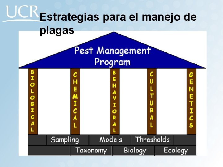 Estrategias para el manejo de plagas 